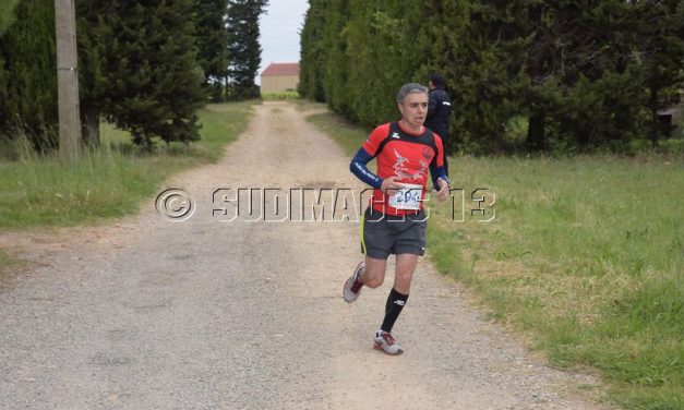 Courses d’Arles, le 16km.