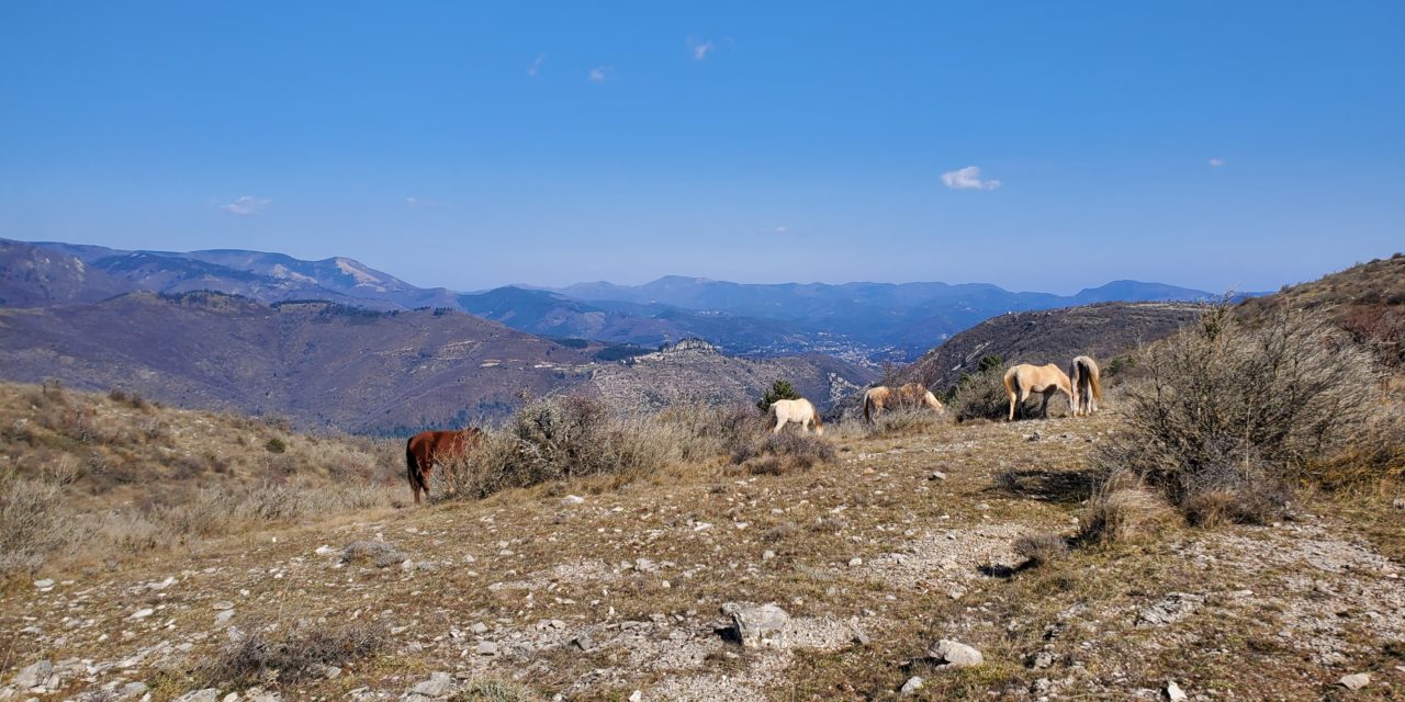 Trail aux étoiles, 63km, 2700m D+