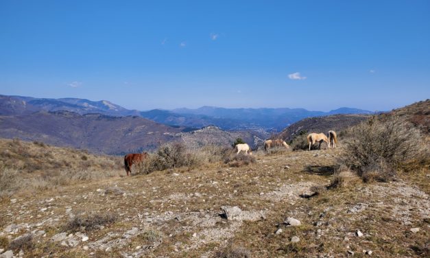 Trail aux étoiles, 63km, 2700m D+